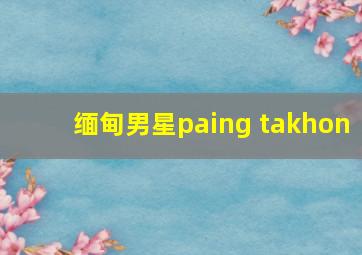 缅甸男星paing takhon